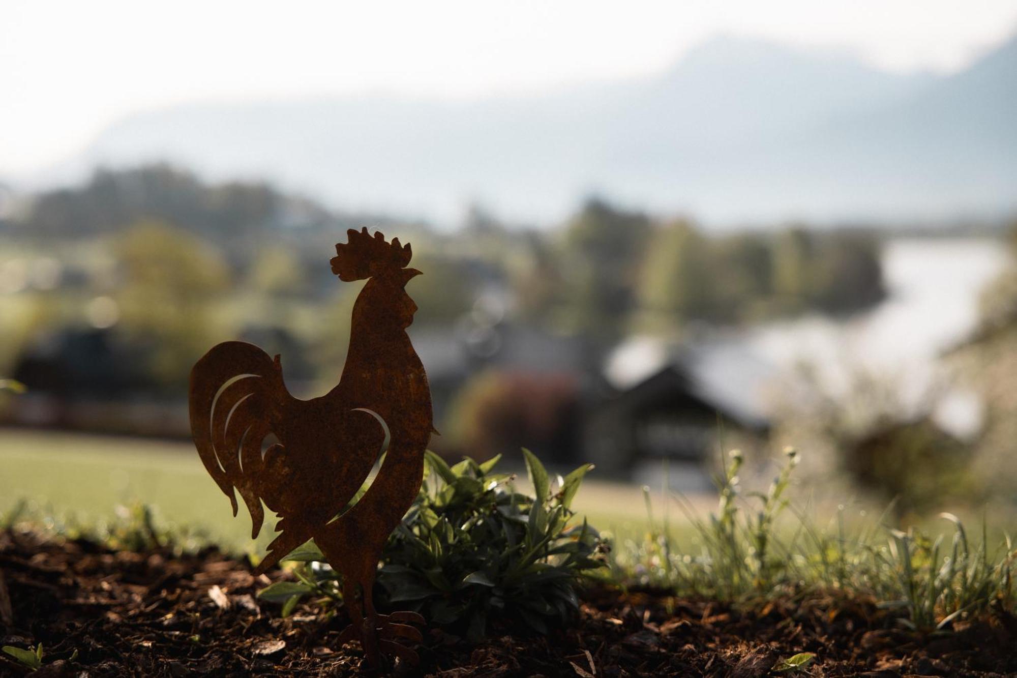 Urlaub Am Dichtlhof Apartment Sankt Wolfgang im Salzkammergut Bagian luar foto